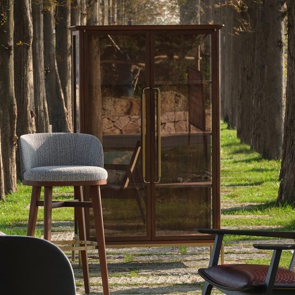Showcase Cabinet b